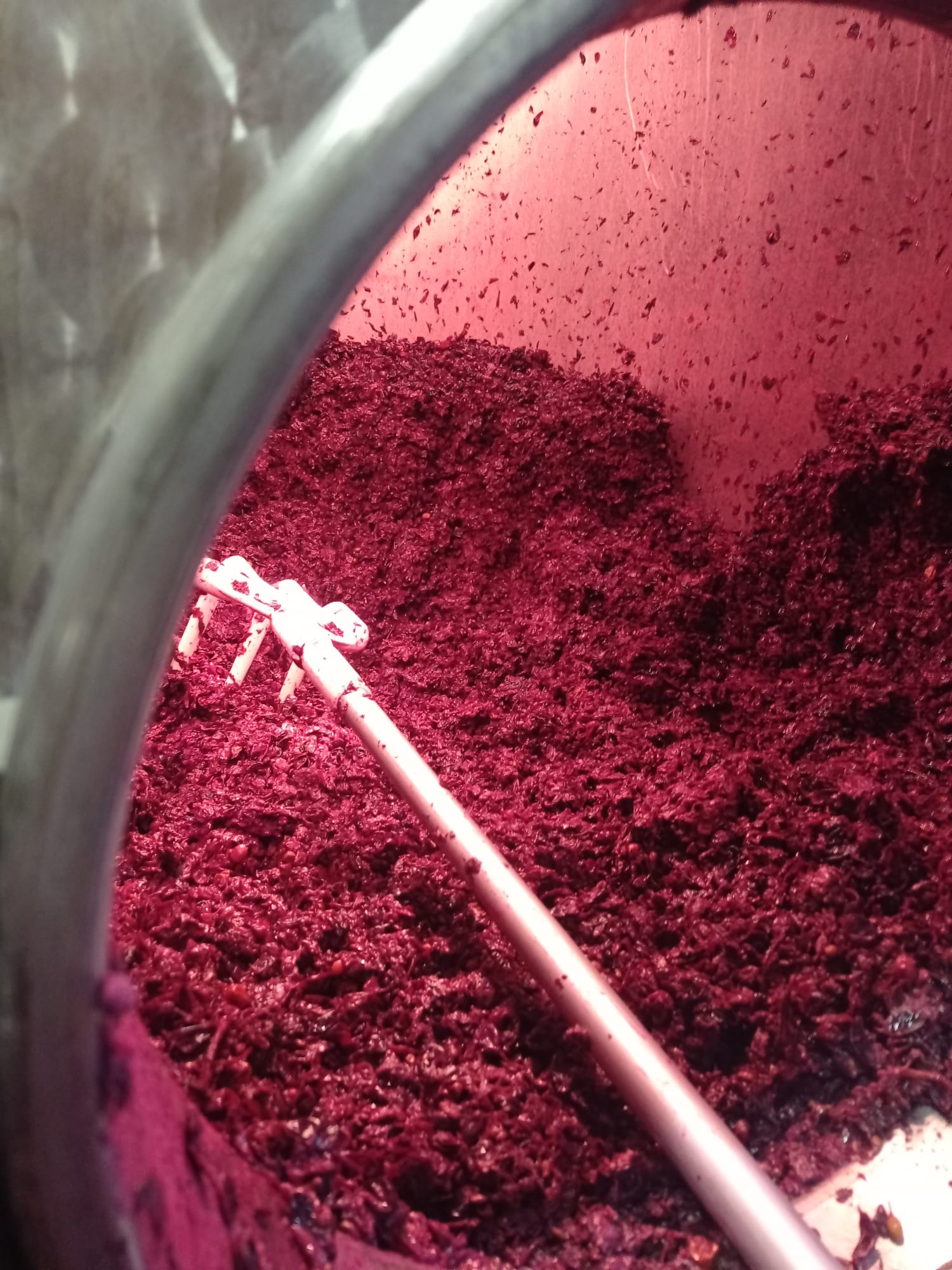 Wijn vat italie barbaresco rode wijn stalen vaten over Sip Nouveau Samenwerken wijnmaken Nebbiolo Barolo Alternatief