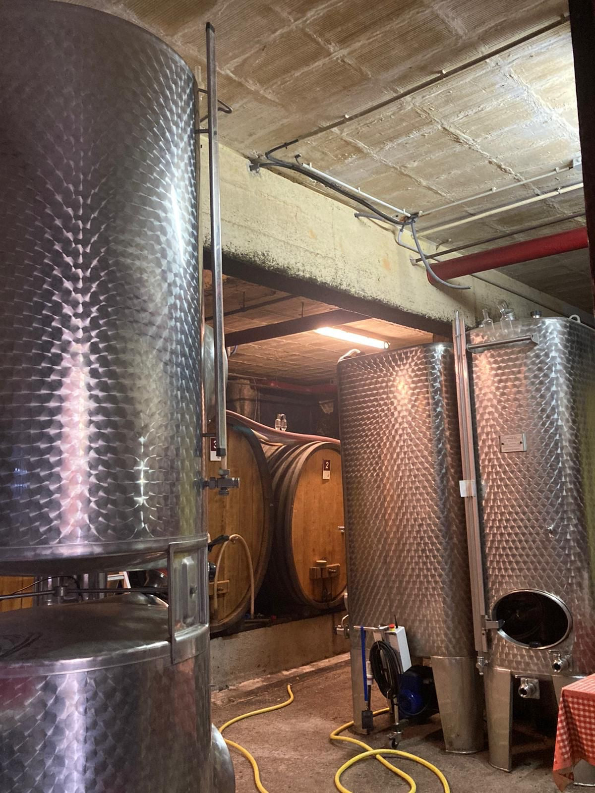 Elzas Kelder Riesling wijn Rvs houten vat Mathieu lichtle 