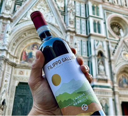 Langhe nebbiolo Filippo Gallino wijnfles wijn webshop in hand Sip Nouveau Piemonte goedkoop