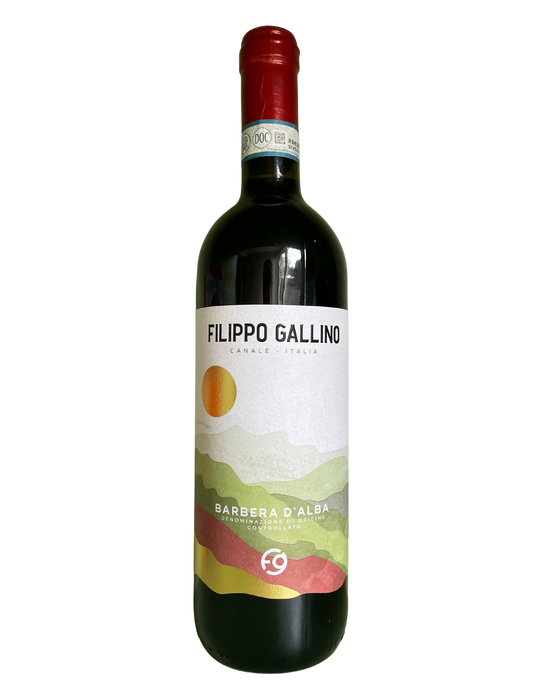 Betaalbaar Barbera Alba Filippo Gallino Rode wijn kopen webshop SIp Nouveau 