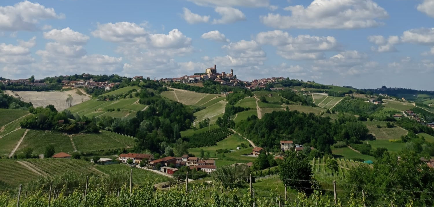 Piemonte uitzicht wijngaarden Sip Nouveau nebbiolo  Gallino Giuseppe winery