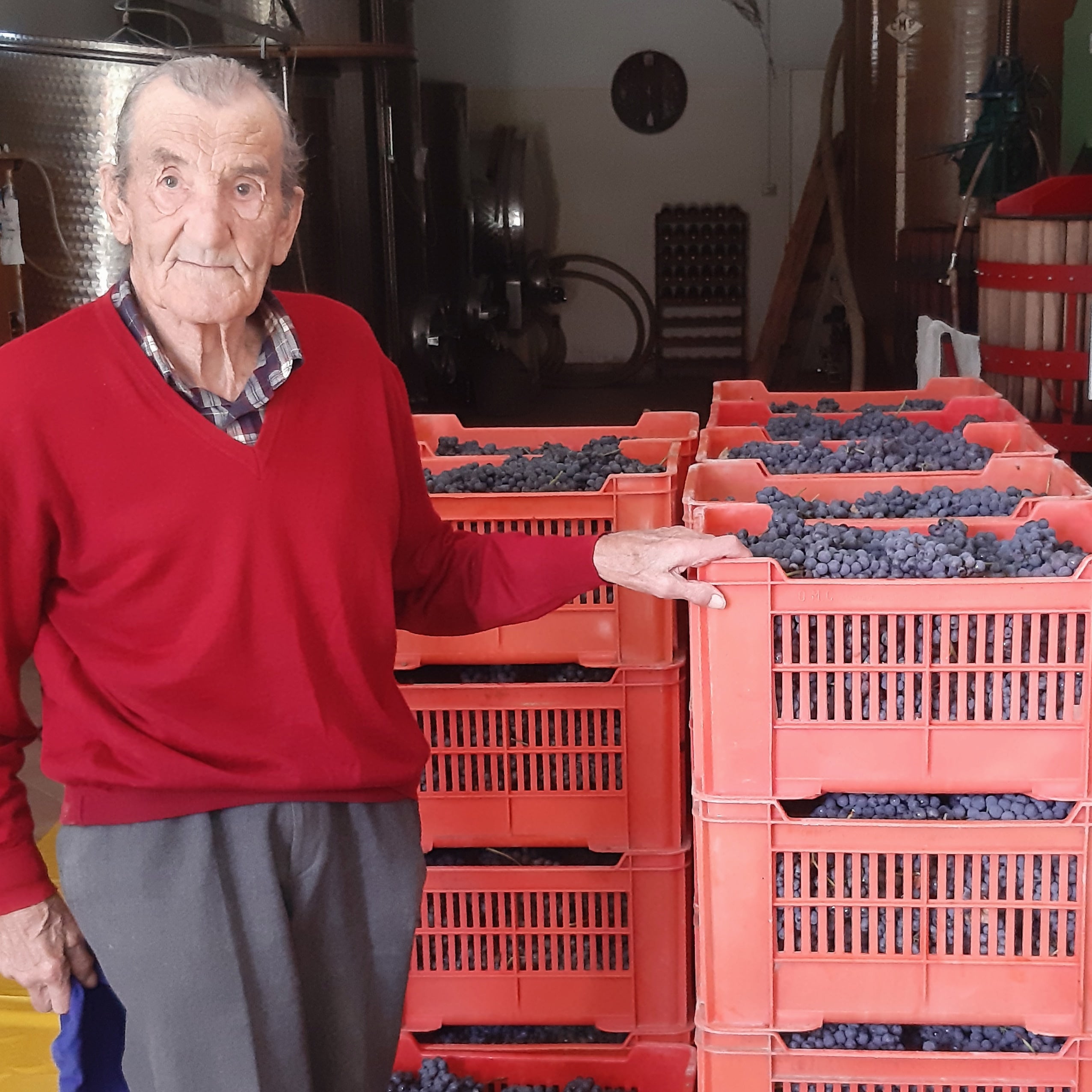 Carlo Cauda Familie bedrijf wijn maken nebbiolo kelder cellar klein Sip Nouveau