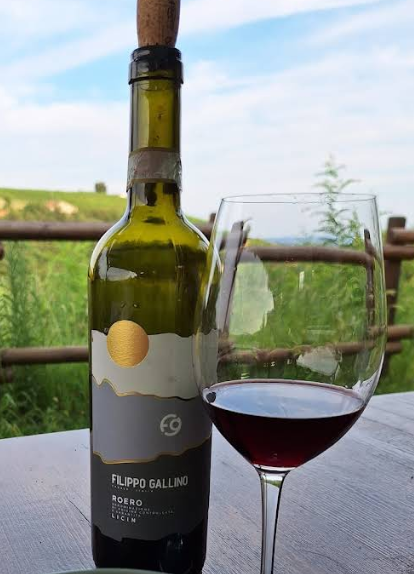Arneis Nebbiolo Barbera Piemonte Filippo Gallino Sip Nouveau