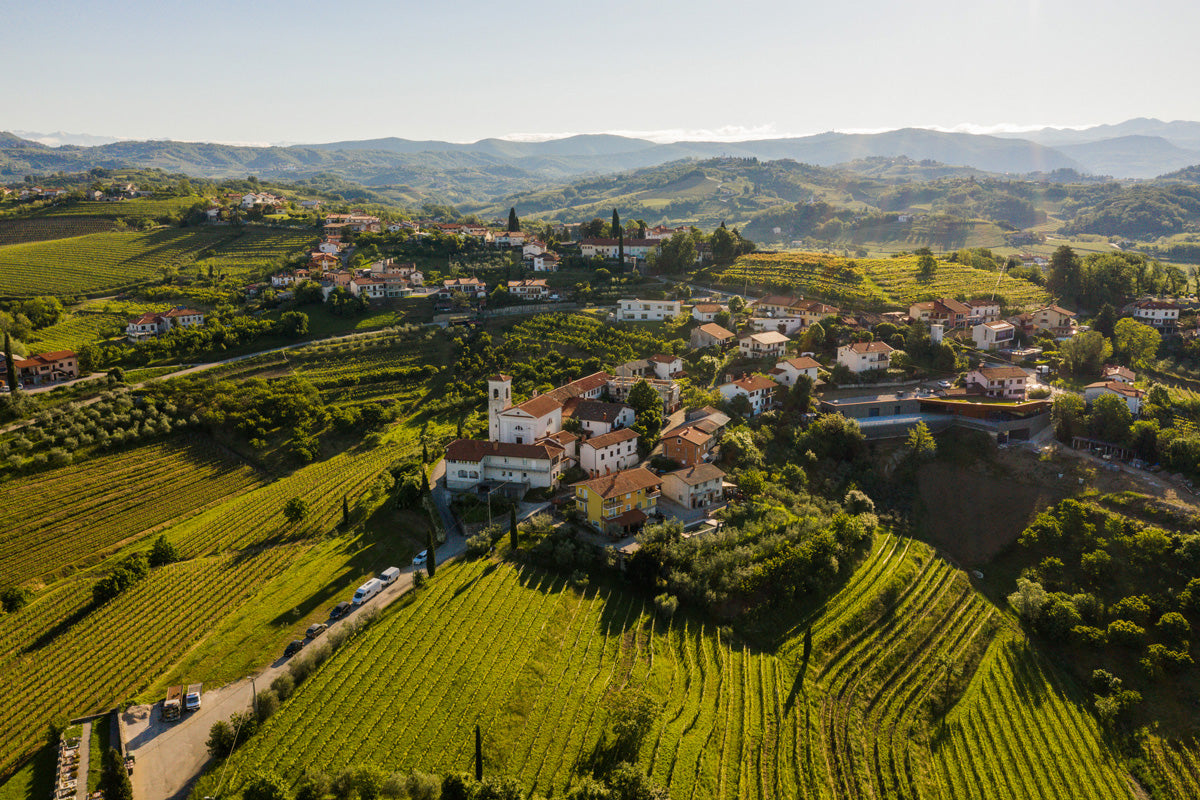Brda Mulit wijn kopen Slovenie import 
