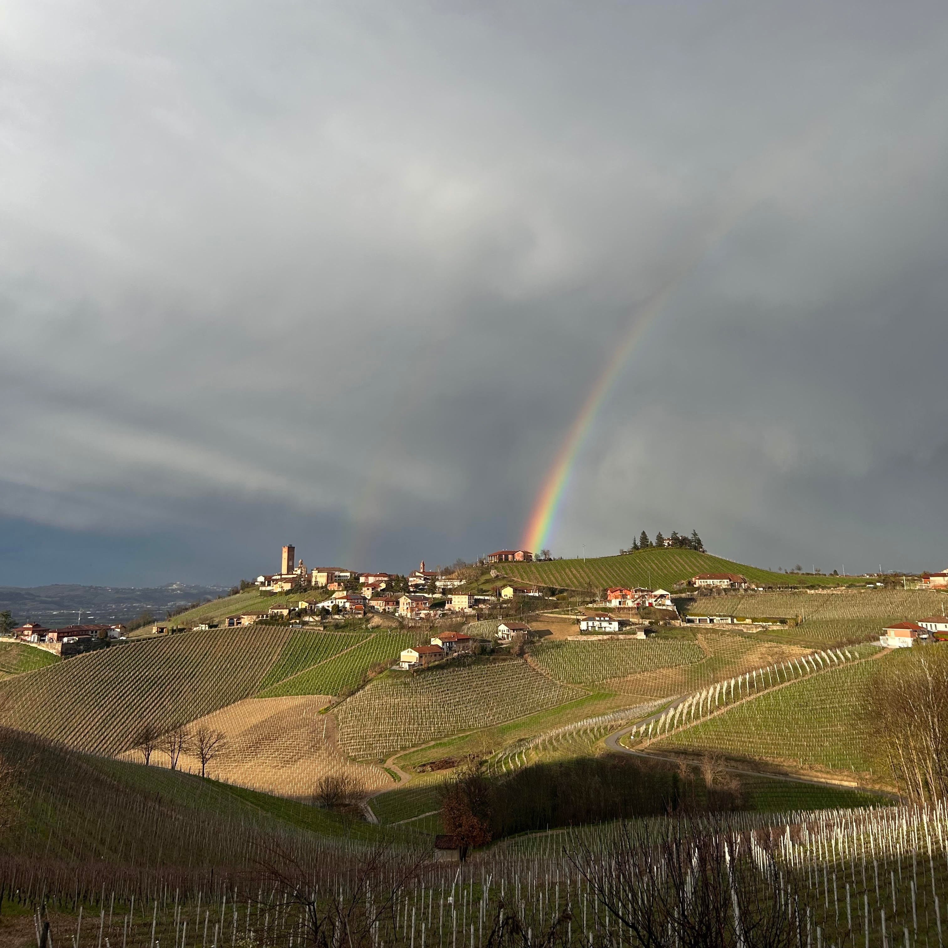 Barbaresco gebied regenboog natuur wijn import kopen 