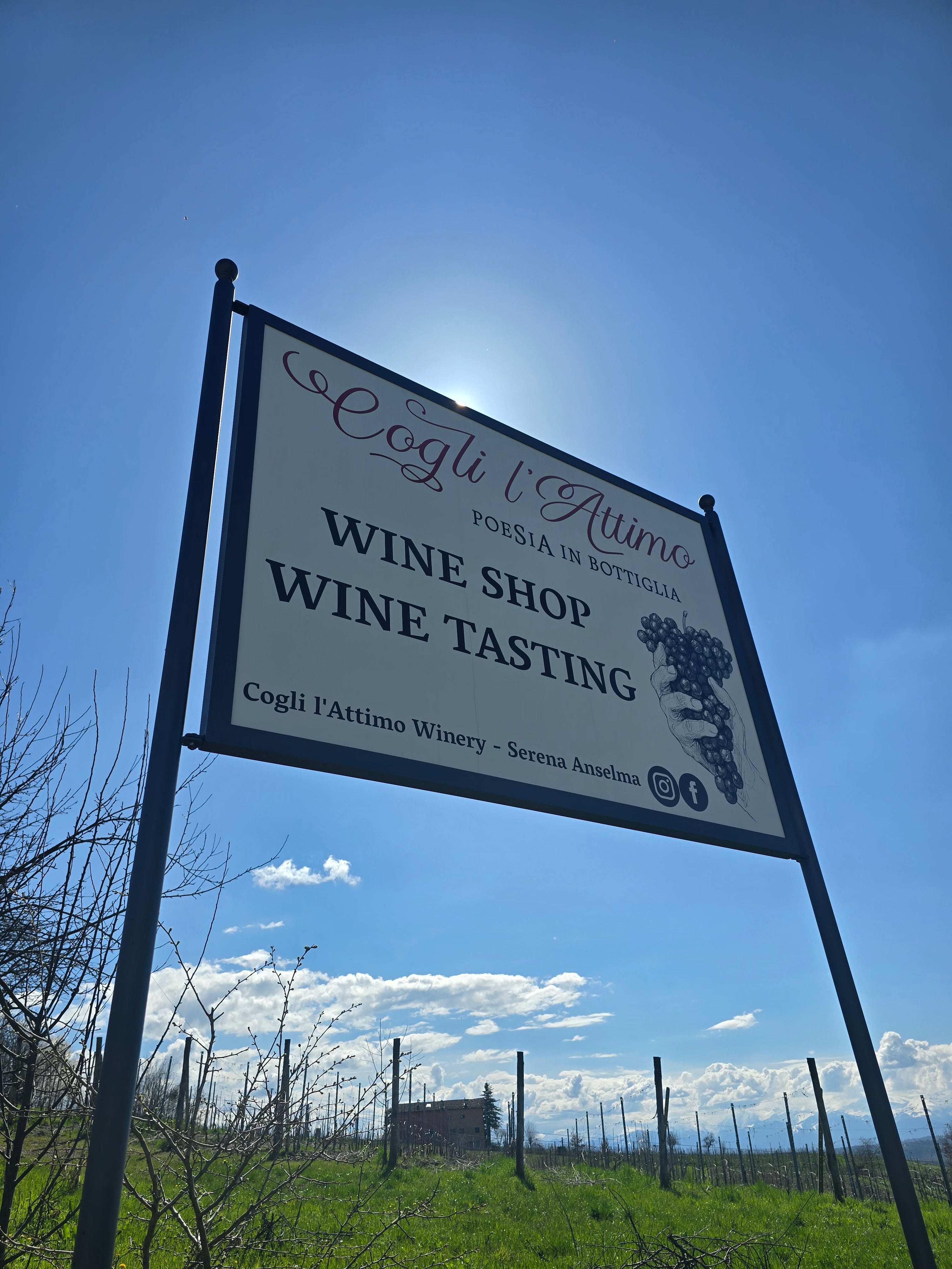Tasting proeverij barolo wine shop wijn winkel Sip Nouveau Biologisch