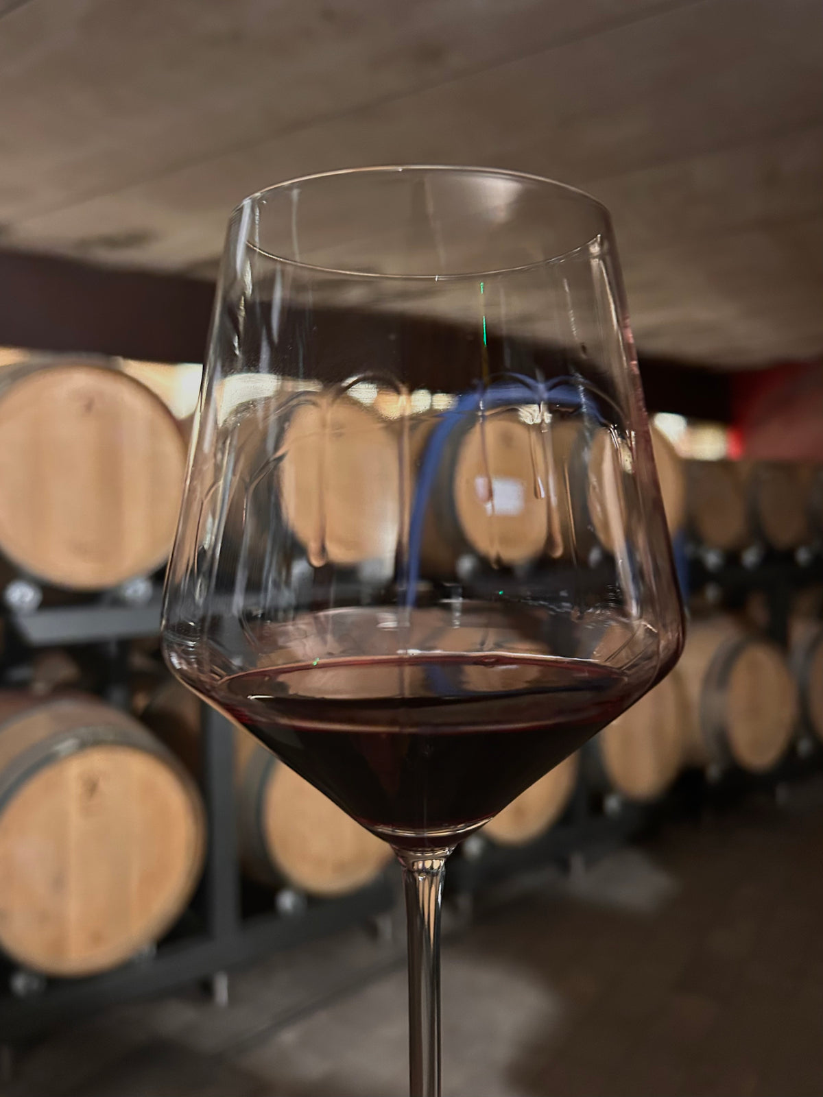 Glas wijn rood Barbaresco kwaliteit houten vaten wijn kopen Sip Nouveau