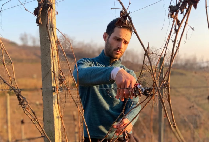 Reoro Langhe wijn kopen Arneis Gallino Giuseppe Ciriagno wijnhuis import Sip Nouveau